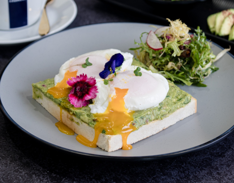 Poached Egg with Avocado Toast